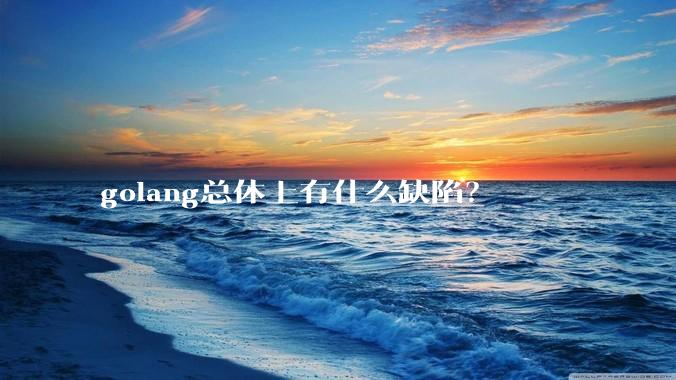 golang总体上有什么缺陷？