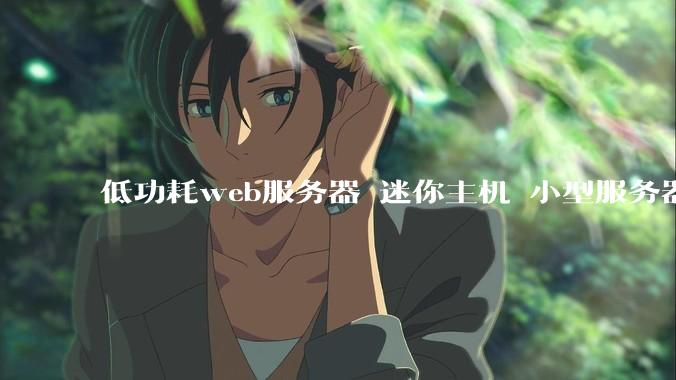 低功耗web服务器 迷你主机 小型服务器 求推荐？