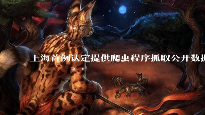 上海首例认定提供爬虫程序抓取公开数据构成提供侵入计算机信息系统程序罪案，该案件有哪些细节值得关注？