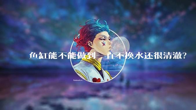 鱼缸能不能做到一直不换水还很清澈？