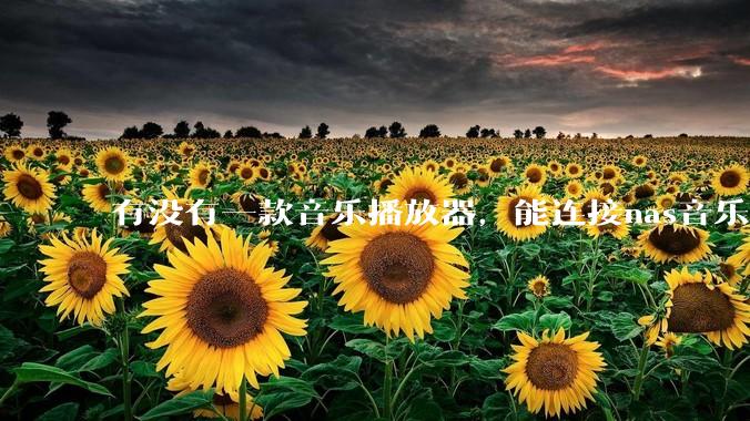 有没有一款音乐播放器，能连接nas音乐，创建音乐库，自动匹配歌词封面等等？类似infuse的概念呢？