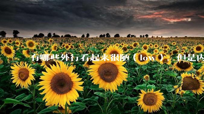 有哪些外行看起来很陋（low），但是内行人却觉得很高大上的东西？