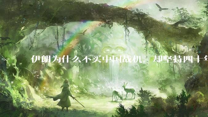 伊朗为什么不买中国战机，却坚持四十年用老旧的苏联米格29、美国F14雄猫战斗机?