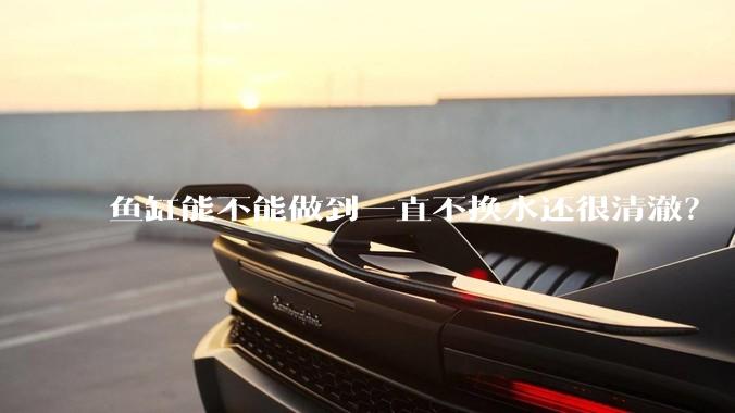 鱼缸能不能做到一直不换水还很清澈？