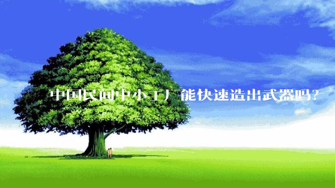 中国民间中小工厂能快速造出武器吗？