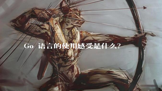 Go 语言的使用感受是什么？
